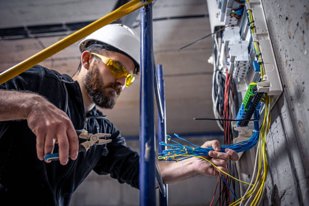 Best Electrician for Home Renovation  in Bushnell, IL