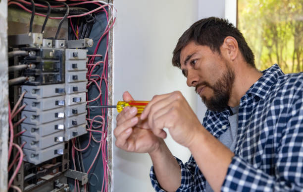 Best Residential Electrician Services  in Bushnell, IL